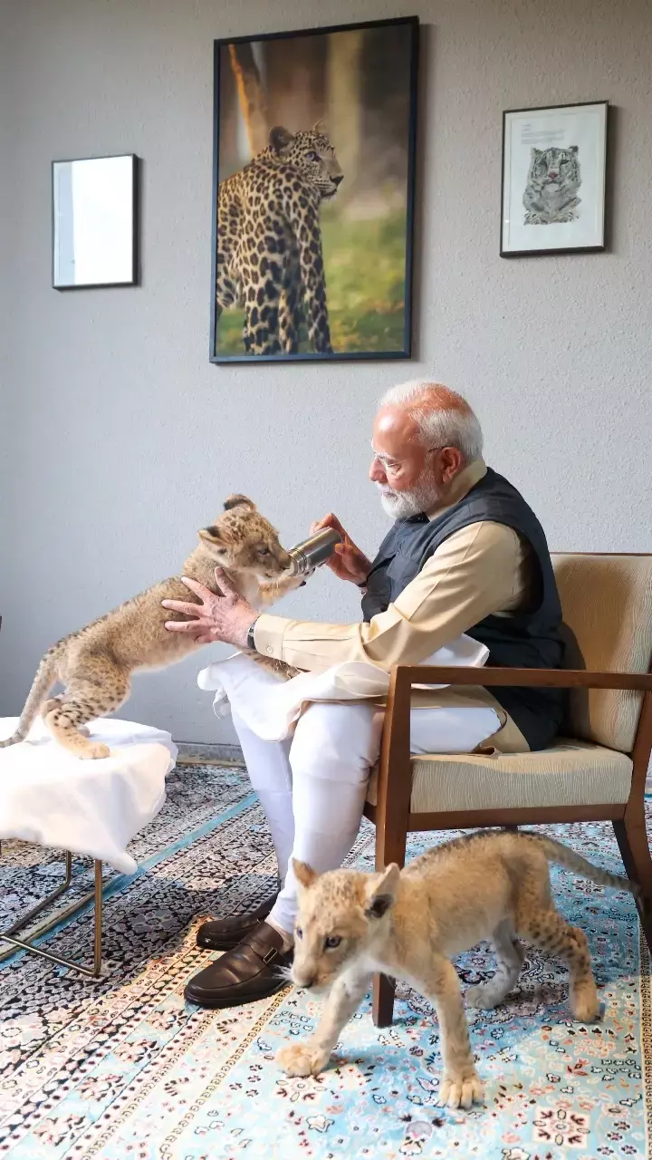 Modi inaugurates Vantara