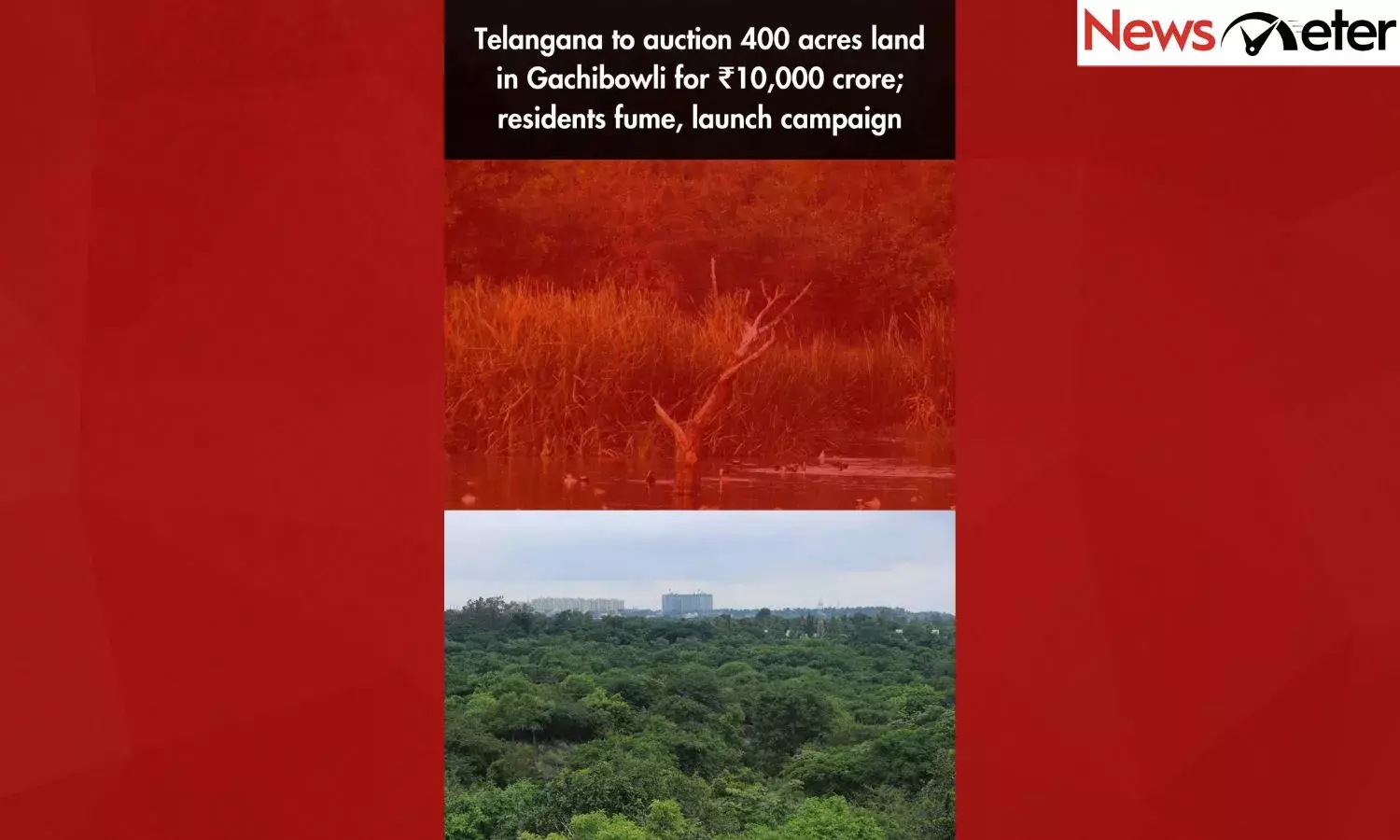 Telangana to auction 400 acres land in Gachibowli for ₹10,000 crore; residents fume, launch campaign