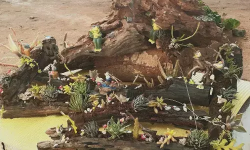 Bougainvillea to neem:  How to personalize your driftwood creation for your garden