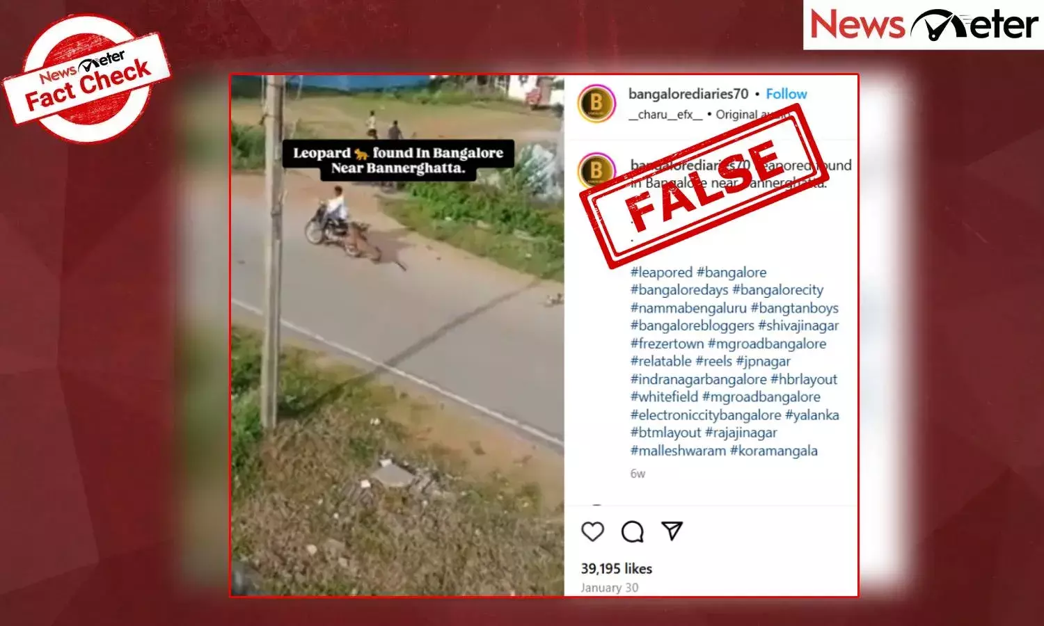 Fact Check: ಬನ್ನೇರುಘಟ್ಟದಲ್ಲಿ ಚಿರತೆ ಕಾಣಿಸಿಕೊಂಡಿದ್ದು ನಿಜವೇ?, ಇಲ್ಲ ಇದು ಮೈಸೂರಿನ ಹಳೆಯ ವೀಡಿಯೊ