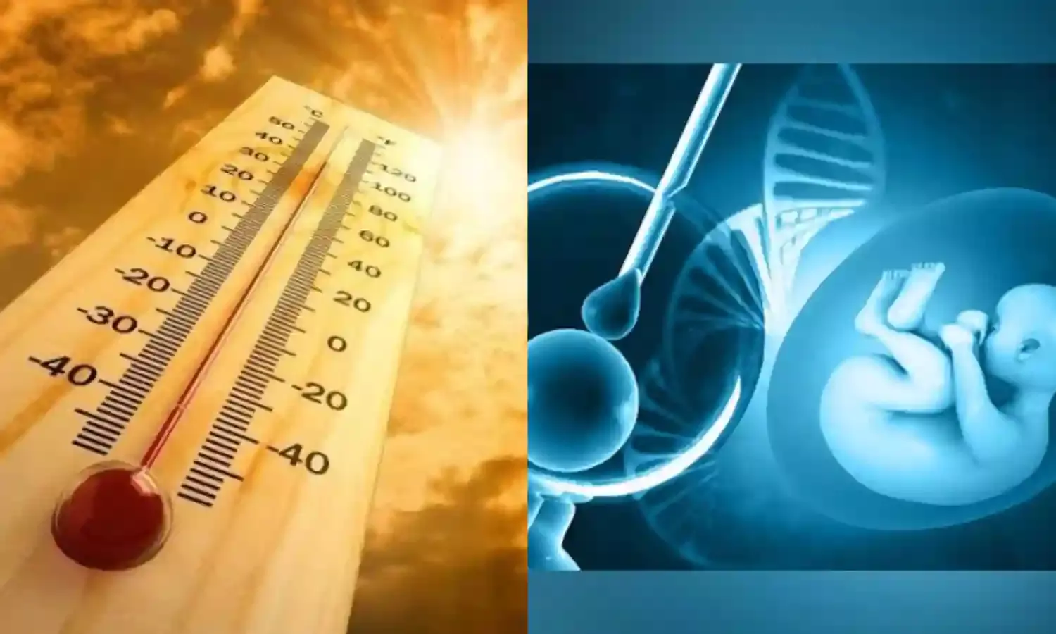Do changes in weather patterns impact fertility of men and women? Check out