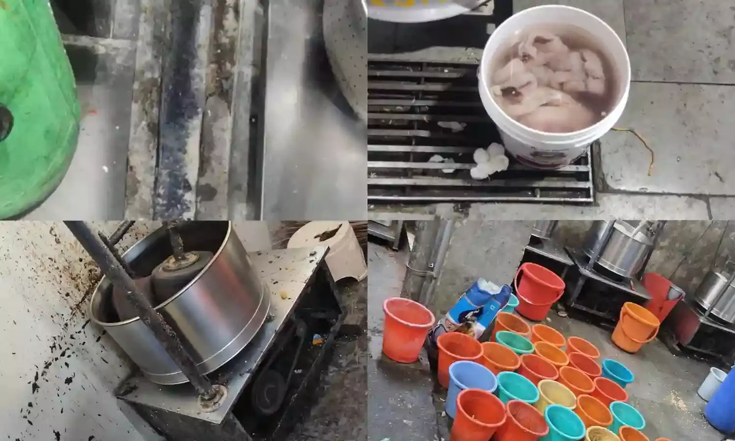 Rats and expired food: Hotel Tulips Grand, Varalaxmi Tiffins flagged over safety violations