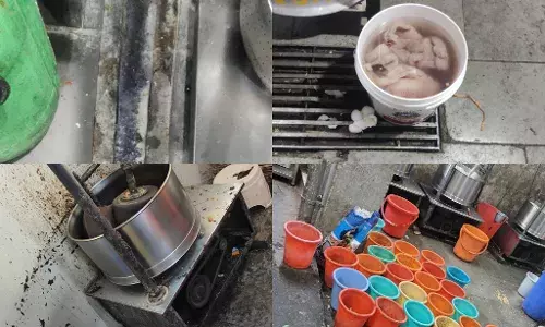 Rats and expired food: Hotel Tulips Grand, Varalaxmi Tiffins flagged over safety violations