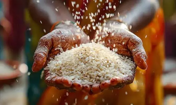 Ugadi gift: Telangana to launch free rice distribution scheme on Mar 30; 3 crore people to benefit