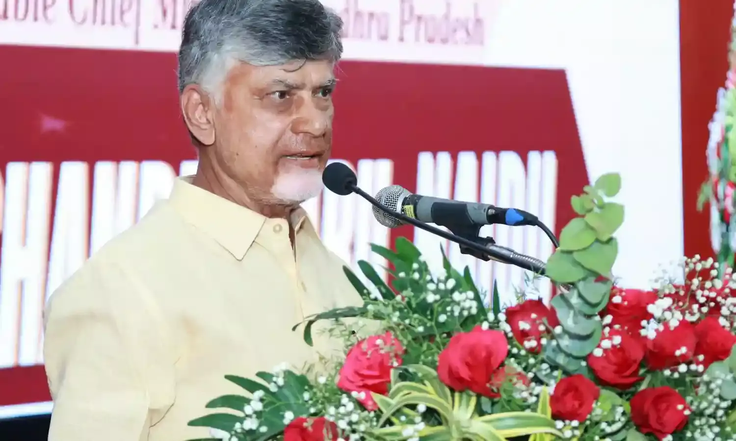 Indians will be number one community globally by 2047: CM Chandrababu