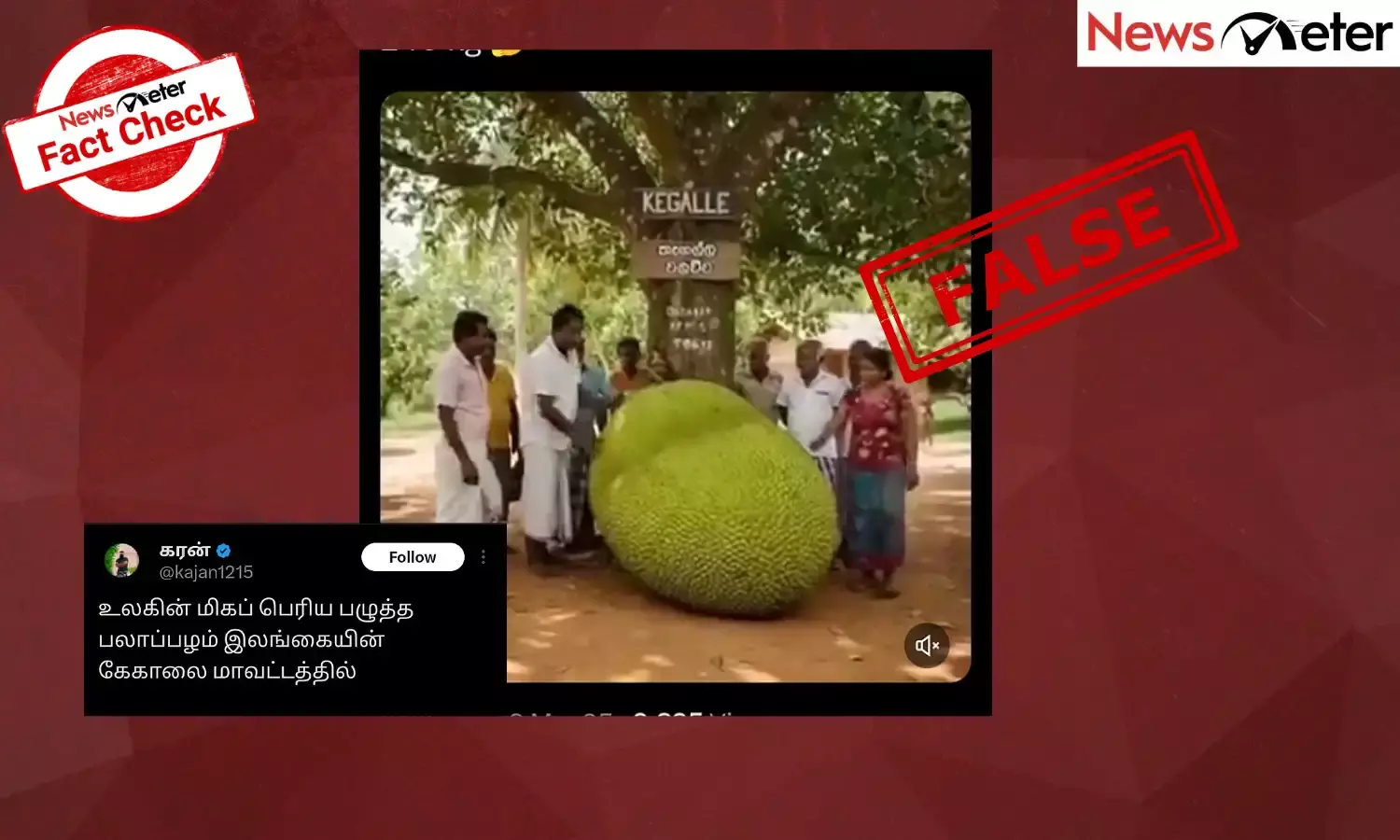 Fact Check:  இலங்கையில் விளைந்த உலகின் மிகப்பெரிய பலாப்பழம் என பரவும் செய்தியின் உண்மை என்ன?