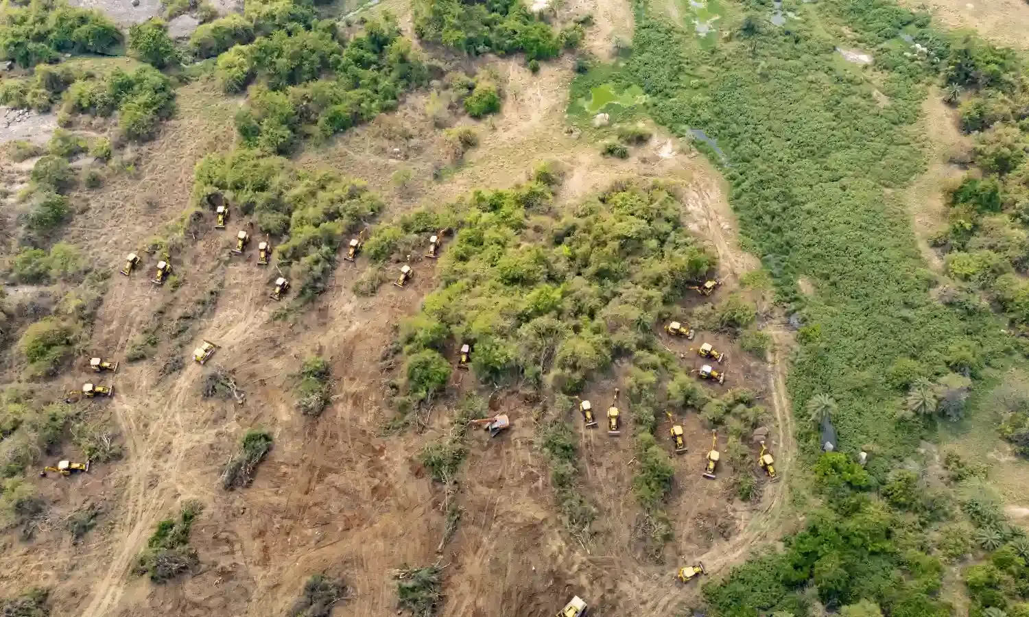 Congress govt claims ownership of 400 acres in Kancha Gachibowli, releases timeline to show transfer of ownership from UoH