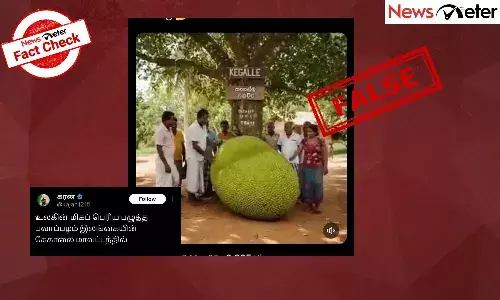 Fact Check:  ą®ą®²ą®ąÆą®ąÆą®Æą®æą®²ąÆ ą®µą®æą®³ąÆą®ØąÆą®¤ ą®ą®²ą®ą®æą®©ąÆ ą®®ą®æą®ą®ŖąÆą®ŖąÆą®°ą®æą®Æ ą®Ŗą®²ą®¾ą®ŖąÆą®Ŗą®“ą®®ąÆ ą®ą®© ą®Ŗą®°ą®µąÆą®®ąÆ ą®ąÆą®ÆąÆą®¤ą®æą®Æą®æą®©ąÆ ą®ą®£ąÆą®®ąÆ ą®ą®©ąÆą®©?