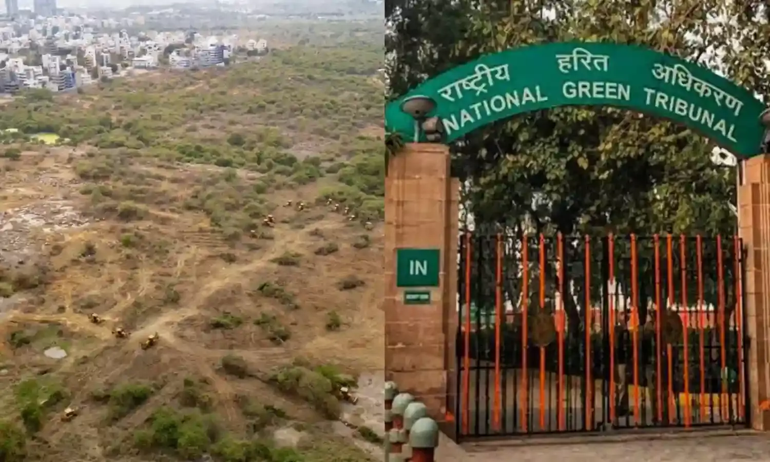 Petition filed in NGT against auction of Hyderabad Central University land
