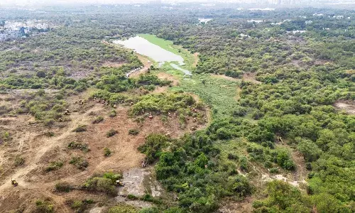 Kancha Gachibowli row: Cyberabad police ban unauthorised entry into disputed area