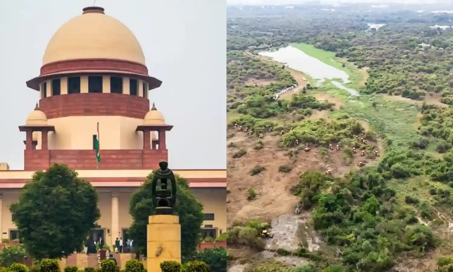 SC stays tree felling at Kancha Gachibowli; asks Telangana HC Registrar to inspect site