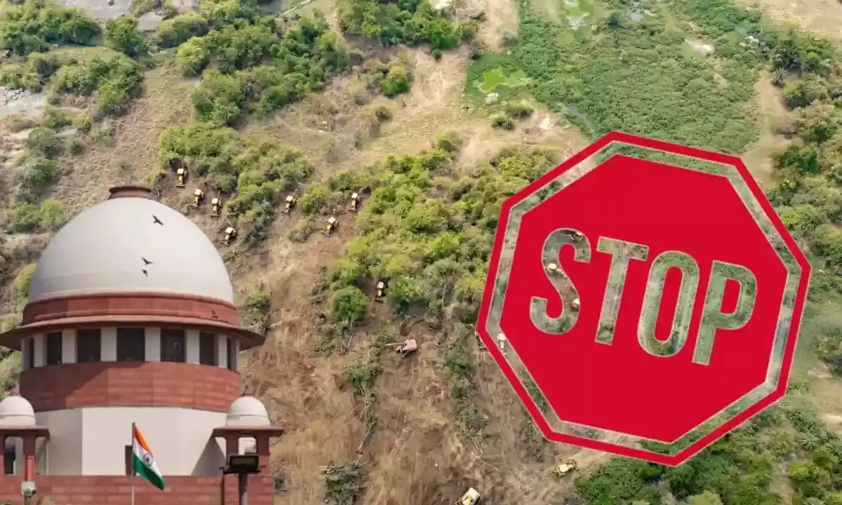 ‘Alarming picture’: Supreme Court halts tree felling at Kancha Gachibowli, questions State govt’s hurry