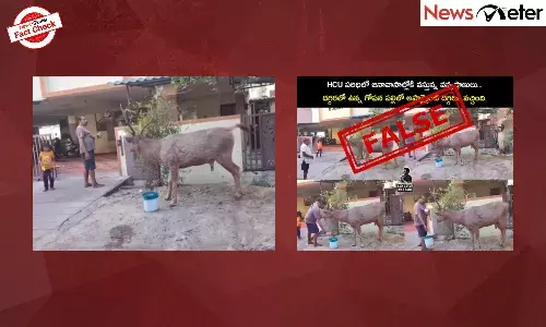 Fact Check: Kancha Gachibowli deer enters human settlement after land clearing? No, video is from Vizag