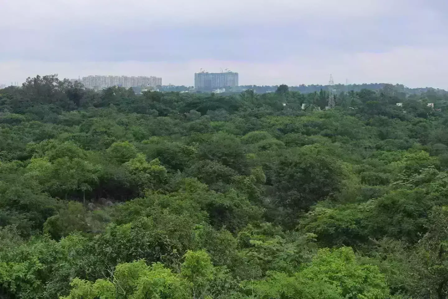 Kancha Gachibowli land row: UOH refutes scrapping of project, campus relocation