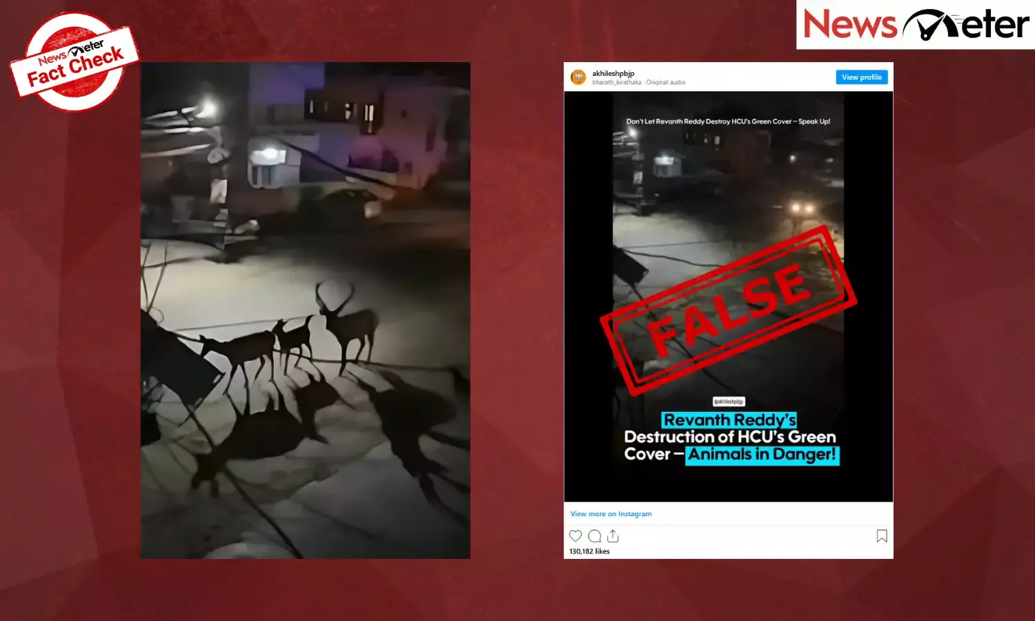 Fact Check: Family of deer roaming on streets after land clearing in Kancha Gachibowli? No, the video is from Uttarakhand