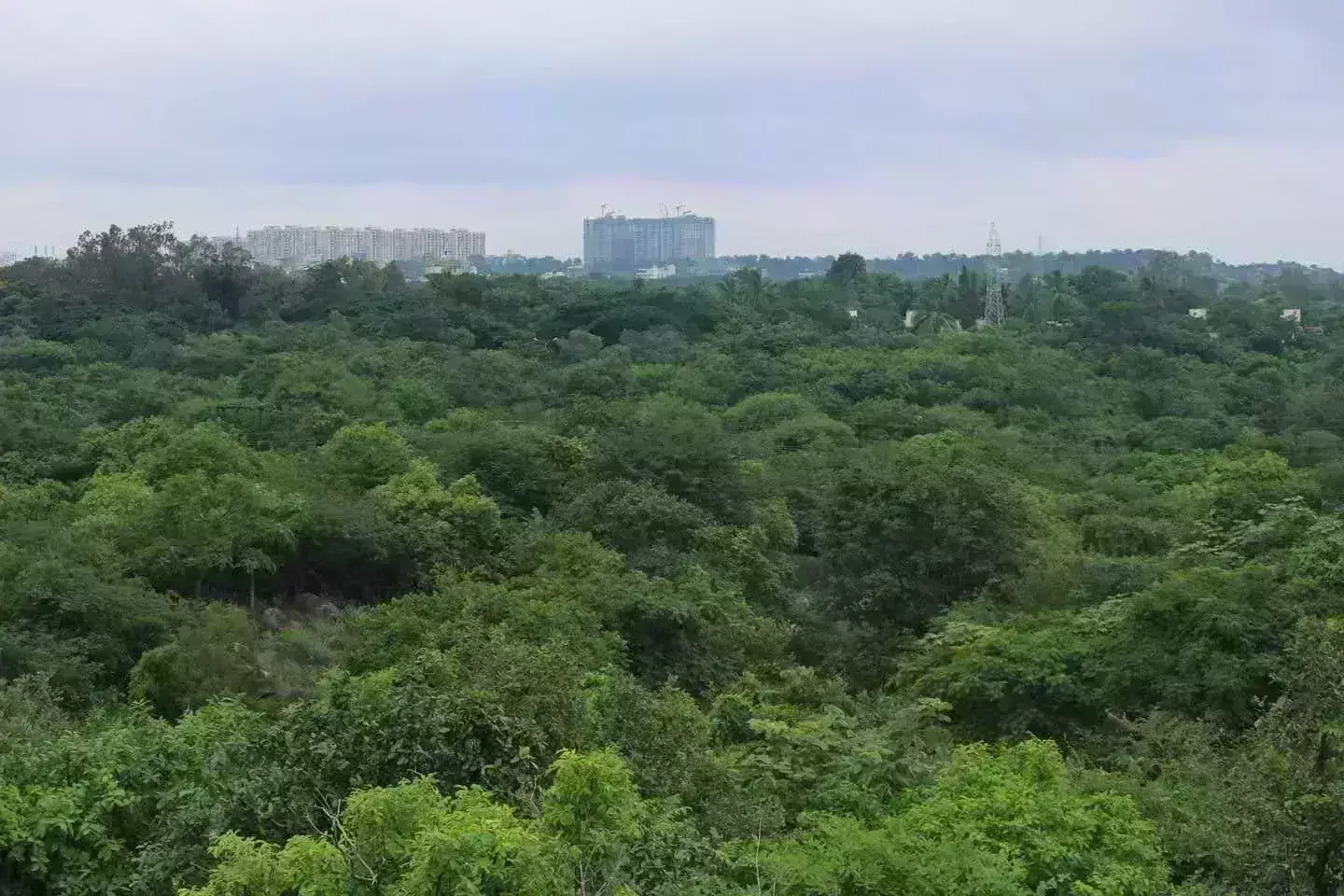 Kancha Gachibowli land row: UOH refutes scrapping of project, campus relocation