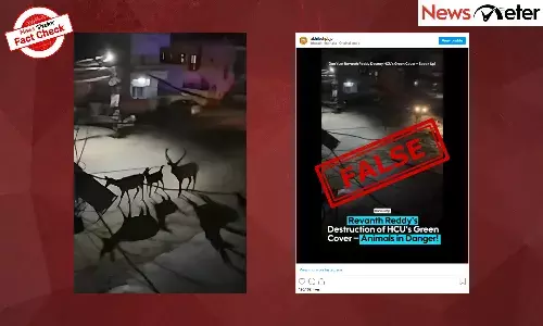 Fact Check: Family of deer roaming on streets after land clearing in Kancha Gachibowli? No, the video is from Uttarakhand