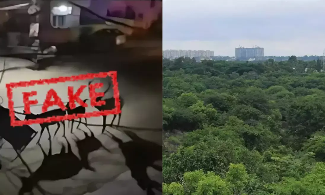 Kancha Gachibowli land row: Telangana govt serious on fake images, videos, to order massive probe