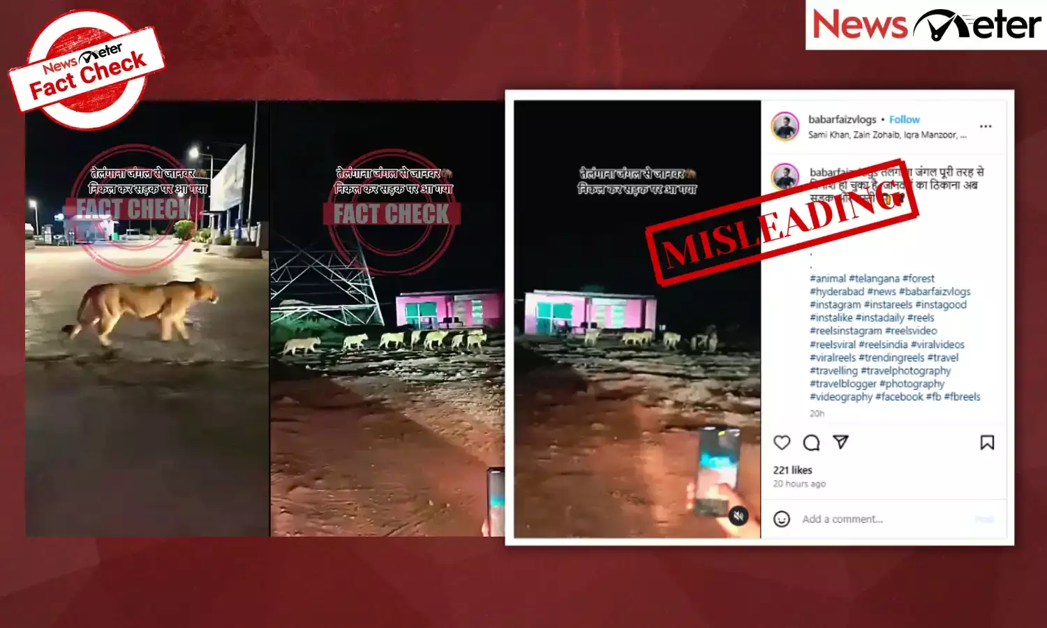 Fact Check: Lions roam on road after land clearing in Kancha Gachibowli? No, video is from Gujarat