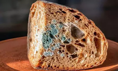 38% Indian consumers came across contaminated food; survey shows need for audit, enforcement