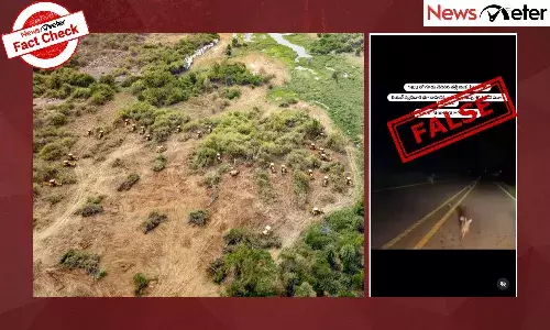A viral post claiming that a mother and baby deer were displaced due to land clearance near Hyderabad Central University (HCU) in Telangana is false. The video has been online since at least 2023.