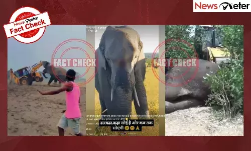 Fact Check: Elephants affected by Kancha Gachibowli land clearing? No, videos are old and unrelated