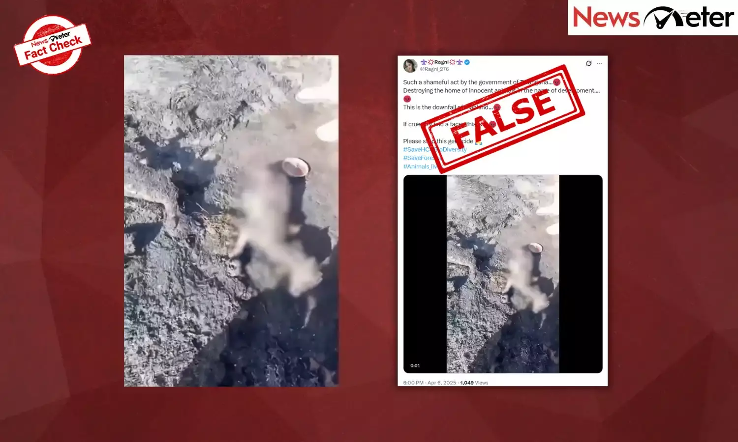 Fact Check: Burnt animal remains show arson used to clear land at Kancha Gachibowli? No, it is an old video