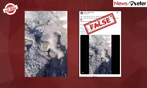 Fact Check: Burnt animal remains show arson used to clear land at Kancha Gachibowli? No, it is an old video