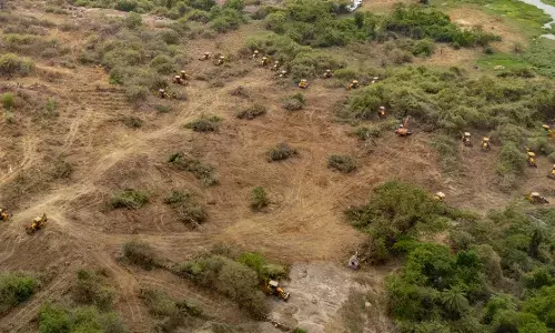 Kancha Gachibowli land row: ICICI bank gives clarification on mortgage loan to TSIIC