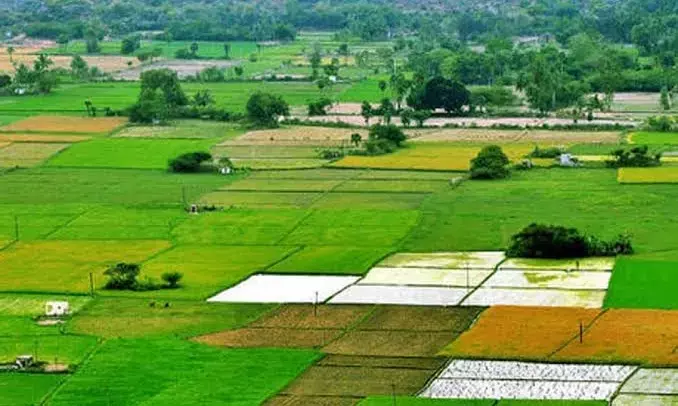 Telangana govt to launch Bhu Bharati Act, portal for land security on April 14