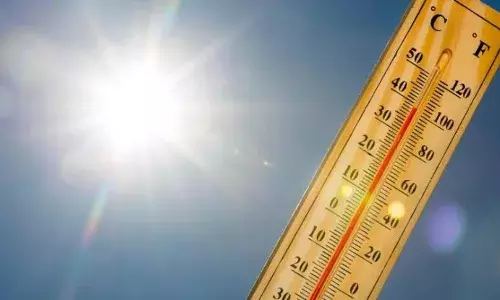 Sunstroke recognised as state disaster in Telangana; Rs 4 lakh aid for victimsā families
