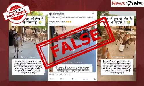 Fact Check: Kancha Gachibowli deer wander into homes after land clearing? No, video is old and unrelated