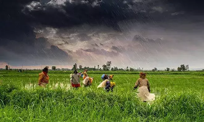 Good news for farmers: Expect above-normal rainfall across India this monsoon