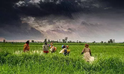Good news for farmers: Expect above-normal rainfall across India this monsoon