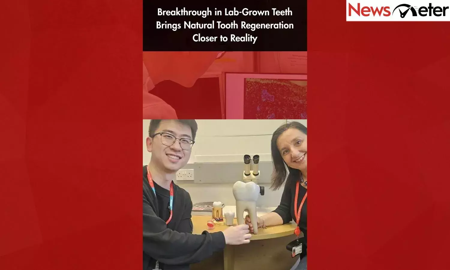 Breakthrough in Lab-Grown Teeth Brings Natural Tooth Regeneration Closer to Reality