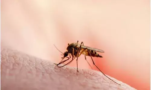 World Malaria Day: How misconceptions have led to delayed diagnosis, preventable complications