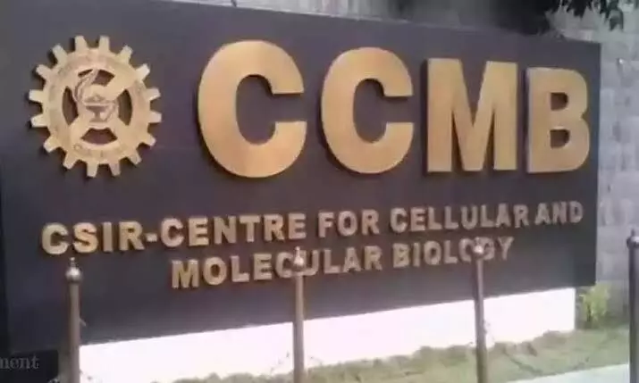 How CCMB protein binding study can advance medicine, agriculture, biotechnology How CCMB protein binding study can advance medicine, agriculture, biotechnology