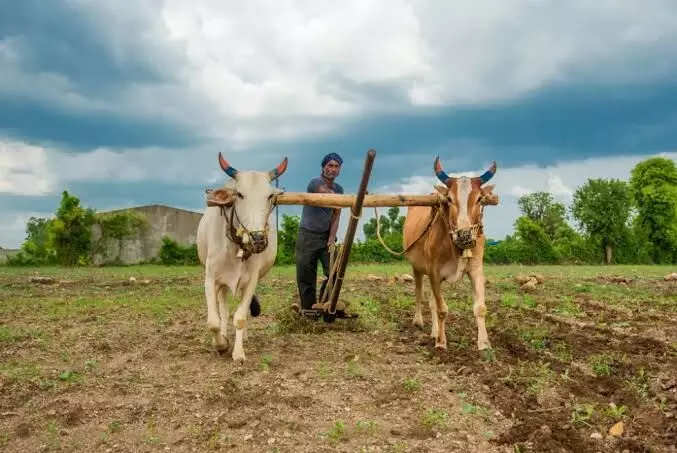 Recognise Telangana tenant farmers, include them in all welfare schemes: Farmers’ union remind Congress Recognise Telangana tenant farmers, include them in all welfare schemes: Farmers’ union remind Congress