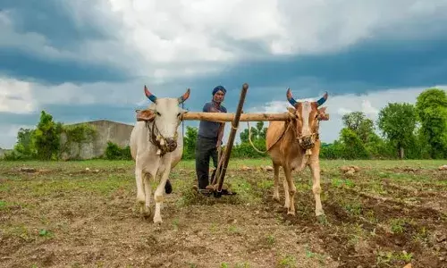 Recognise Telangana tenant farmers, include them in all welfare schemes: Farmersā union remind Congress