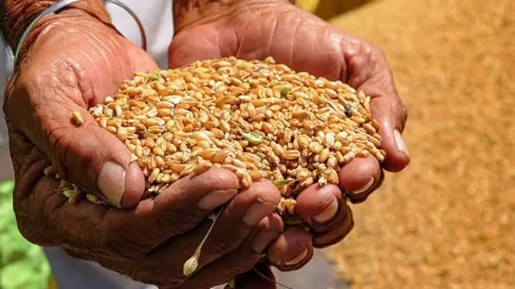 Telangana to launch crackdown on spurious seeds, fertilizers; CM Revanth allows invoking PD Act Telangana to launch crackdown on spurious seeds, fertilizers; CM Revanth allows invoking PD Act