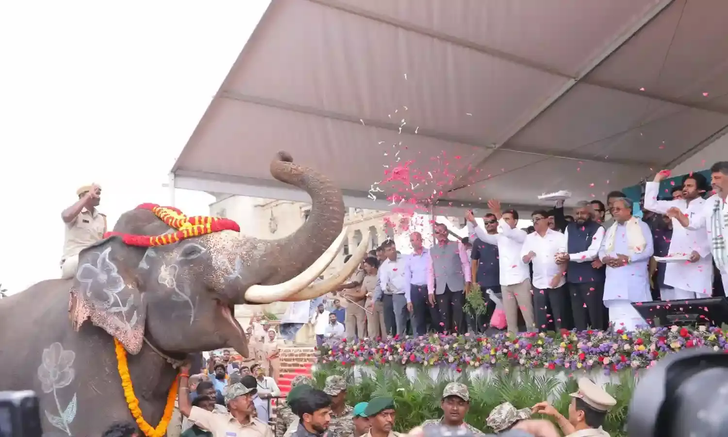 Journey of 6 Kumki elephants from Karnataka to AP begins; Pawan Kalyan signs transfer