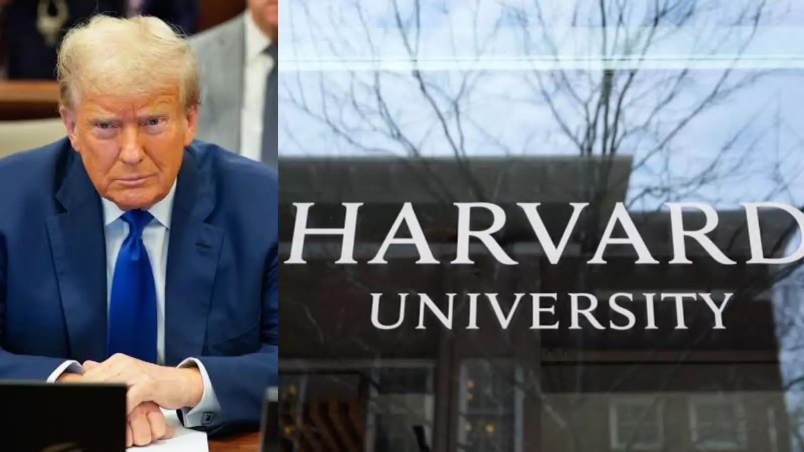 Explained: What Trump’s Harvard international admissions ban means for 788 Indian students? Explained: What Trump’s Harvard international admissions ban means for 788 Indian students?