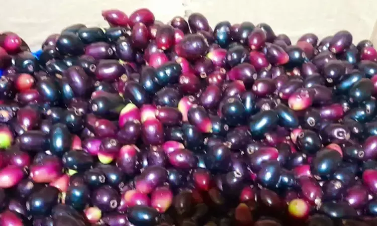 Hyderabad celebrates jamun season: Creative tangy recipes serve sweet nostalgia, health boosters