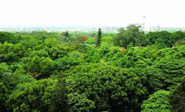 Expanding green cover: Telangana to transform Vana Mahotsavam- 2025 into mass social movement Expanding green cover: Telangana to transform Vana Mahotsavam- 2025 into mass social movement