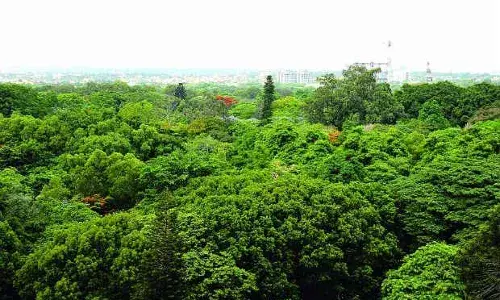 Expanding green cover: Telangana to transform Vana Mahotsavam- 2025 into mass social movement