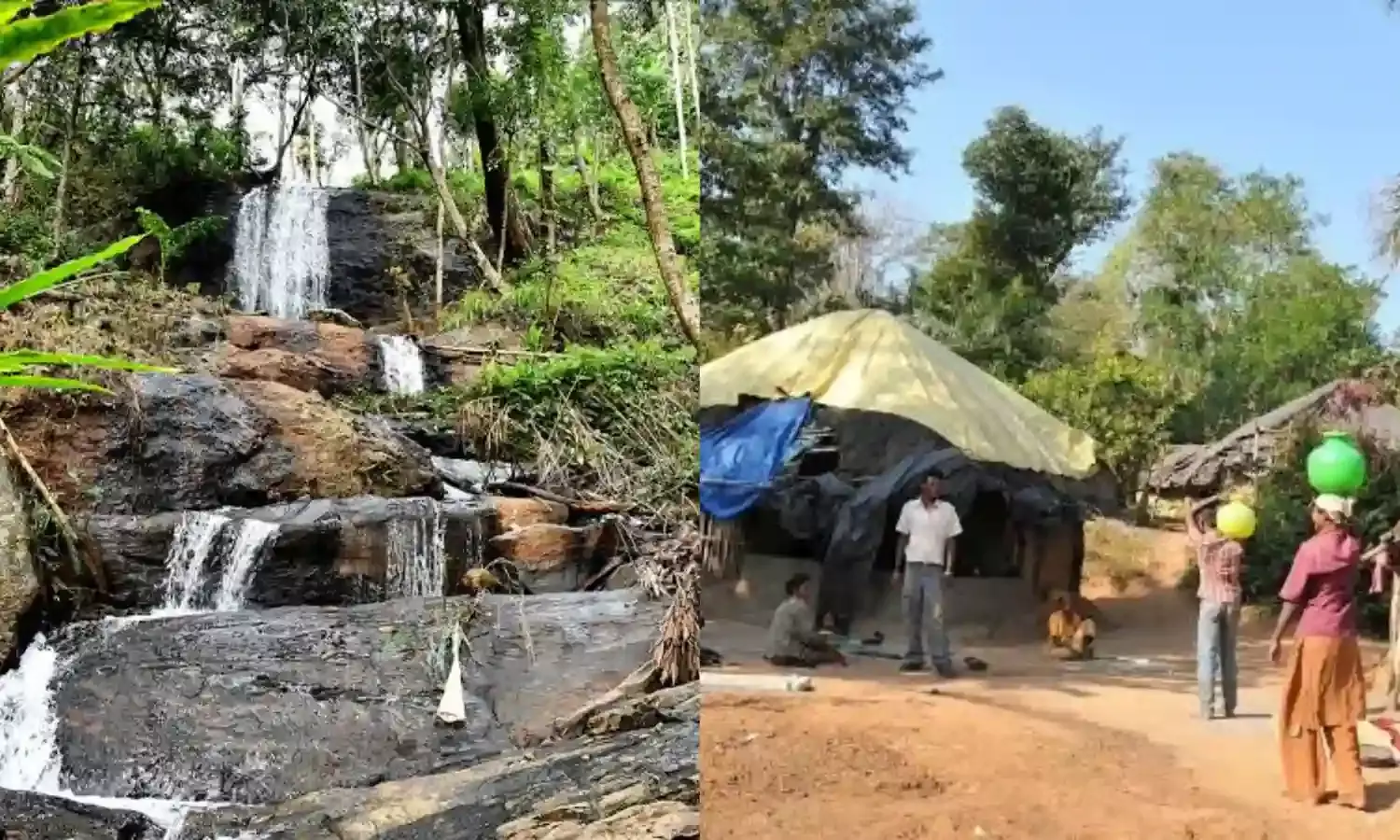 Suffering in silence: Over 150 members of Jenu Kuruba tribe face eviction from Karnatakas Karadikallu forests