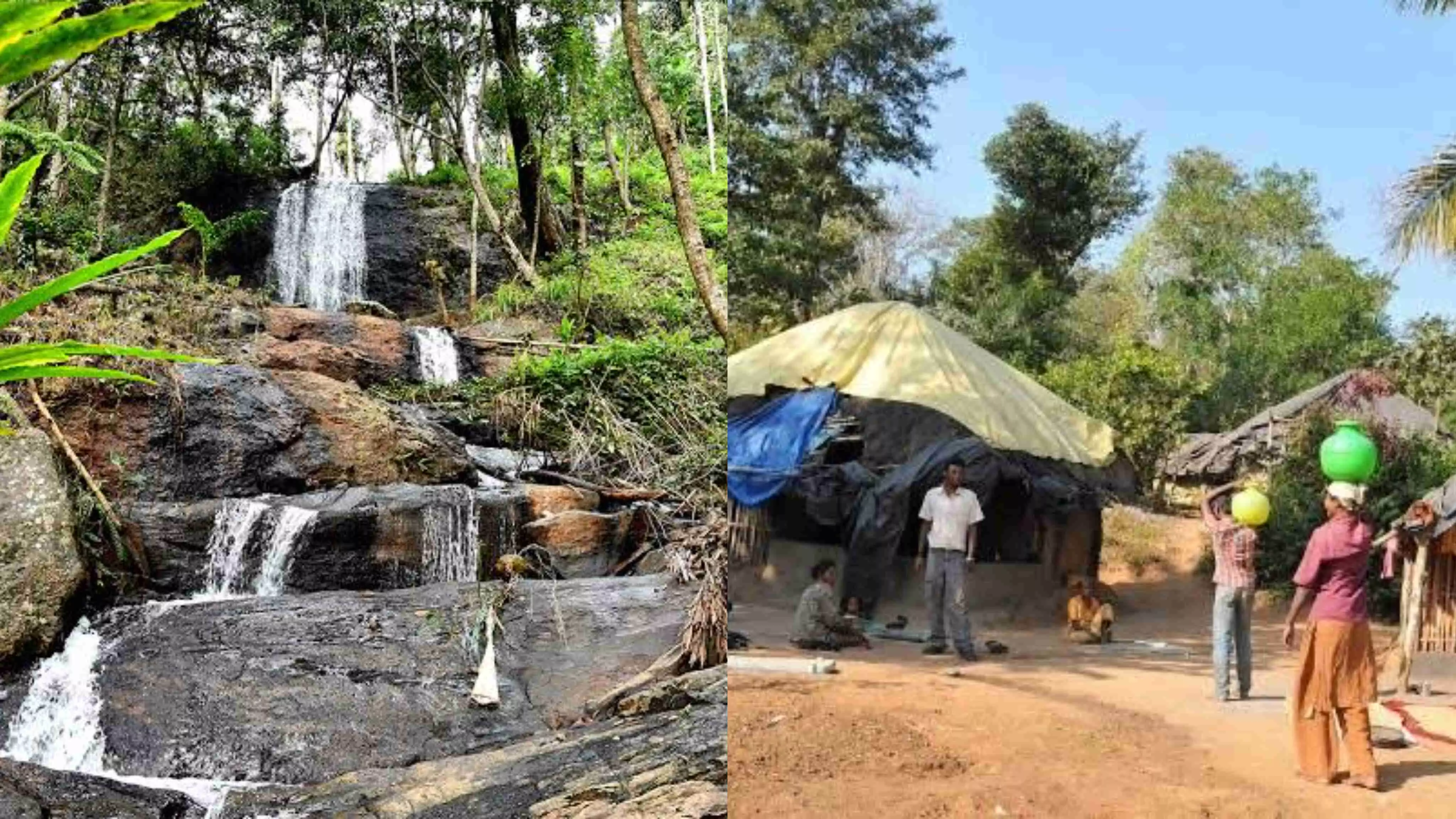 Suffering in silence: Over 150 members of Jenu Kuruba tribe face eviction from Karnatakas Karadikallu forests Suffering in silence: Over 150 members of Jenu Kuruba tribe face eviction from Karnatakas Karadikallu forests