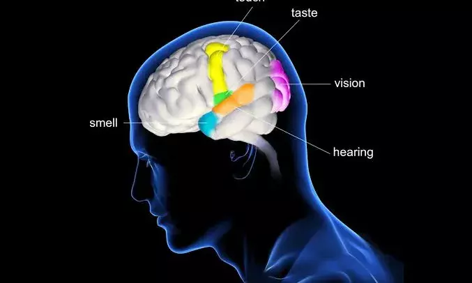 World Brain Tumour Day: How tumours might quietly disrupt our world—one sense at a time