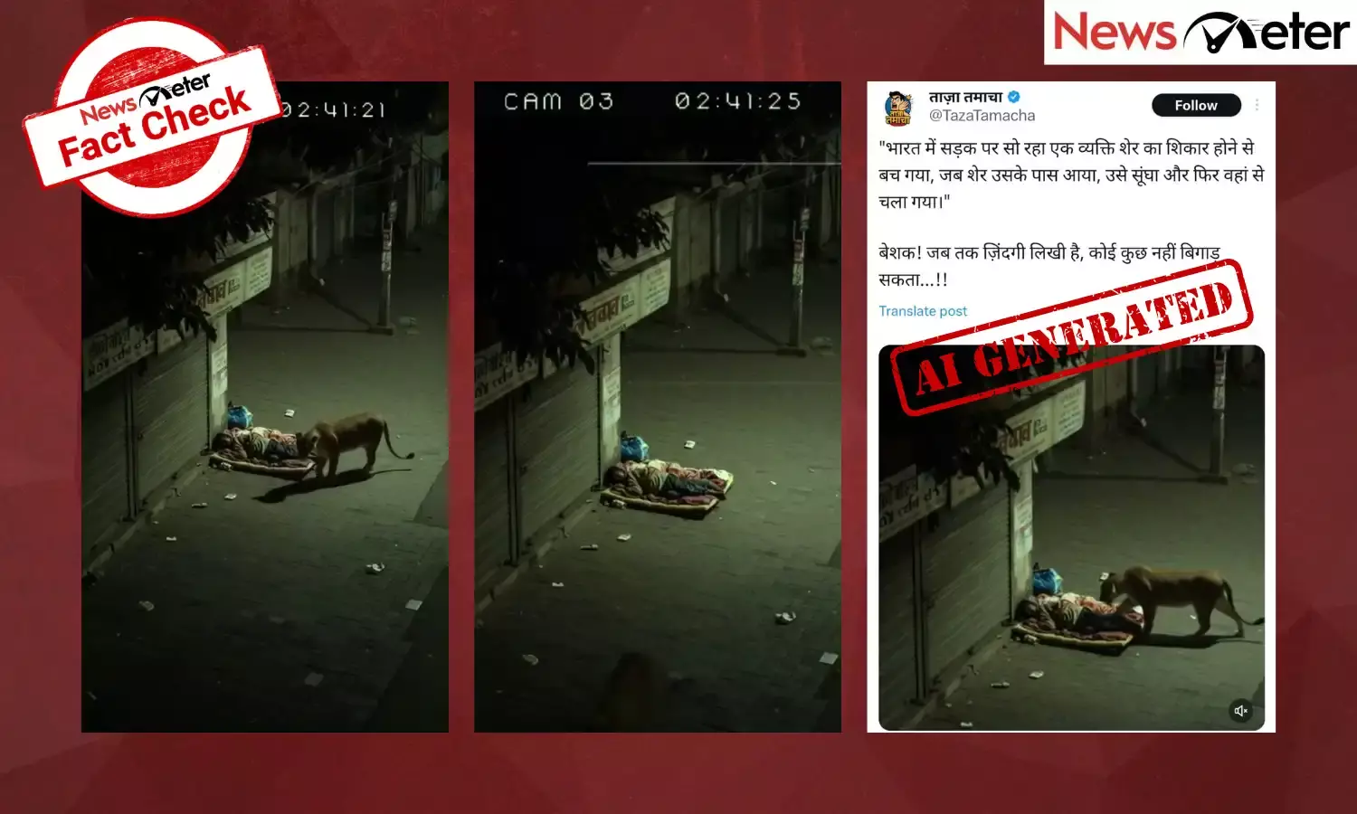 A video showing a lion sniffing a sleeping man and walking away is being shared with the claim that it happened in India.