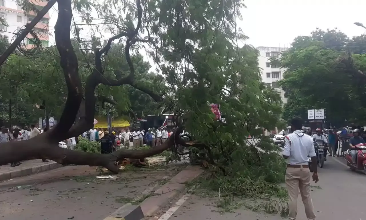 TGSPDCL gears up for monsoon, orders tree trimming to prevent power cuts